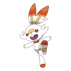 Scorbunny